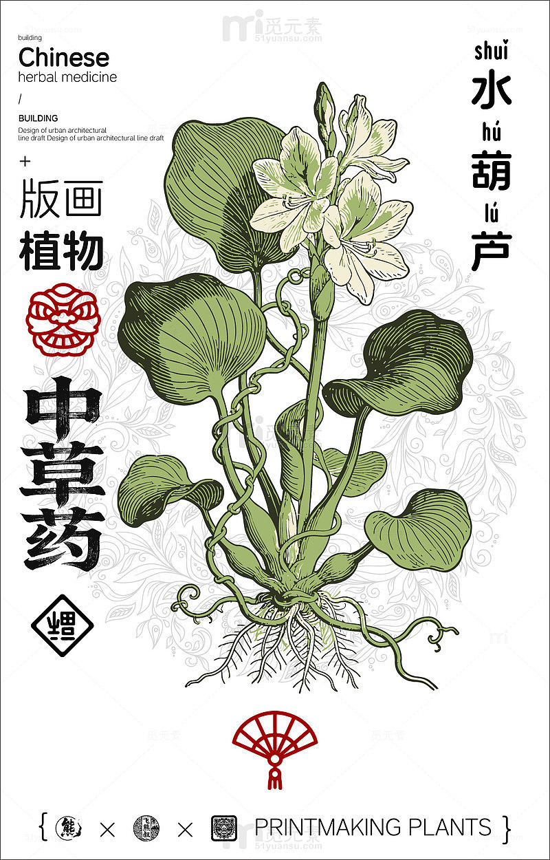 中国风中草药植物插画海报