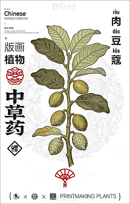 版画风格中草药肉豆豆蔻宣传海报