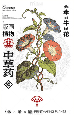 中国风牵牛花植物版画中草药设计素材