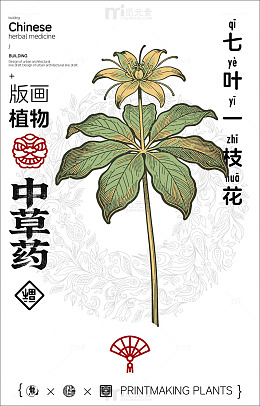 版画风格中草药七叶一枝花介绍