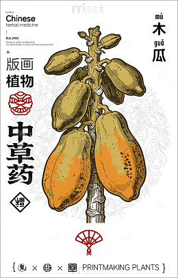 版画风格木瓜植物中草药设计素材