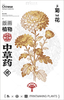 金色菊花版画植物中草药设计素材