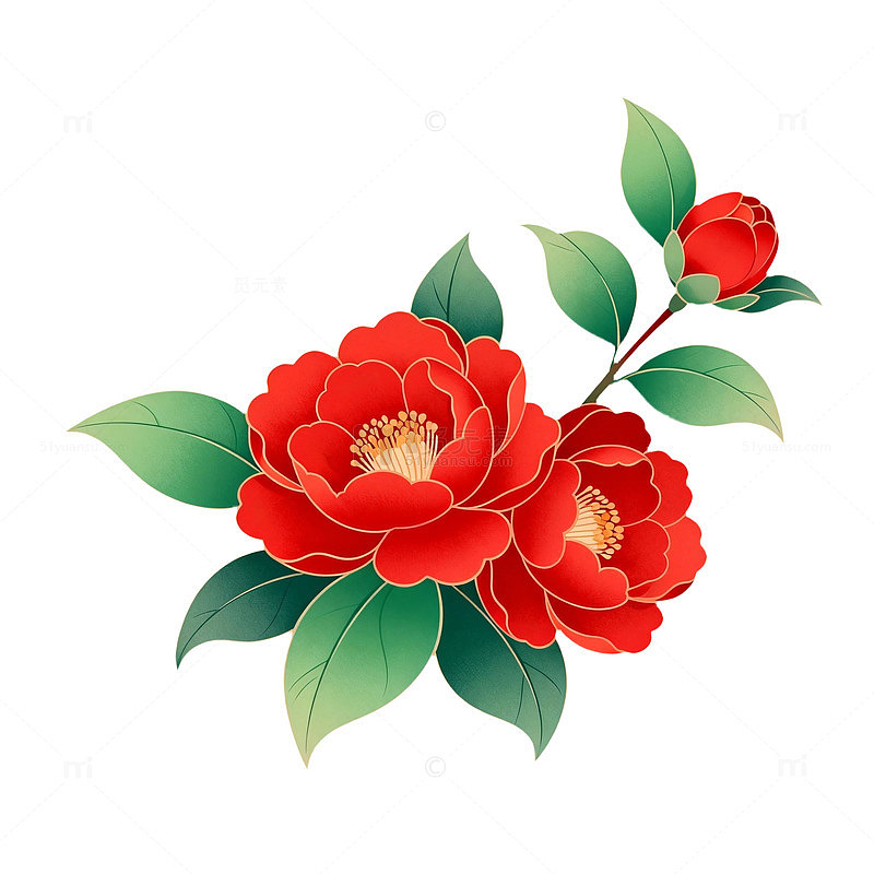 红花绿叶矢量插画