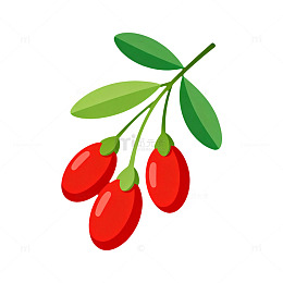 卡通风格枸杞插画素材