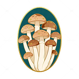 插画风格蘑菇图案设计素材