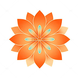 透明背景橙色花卉图案设计素材