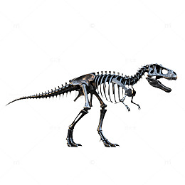 恐龙骨架模型3D渲染