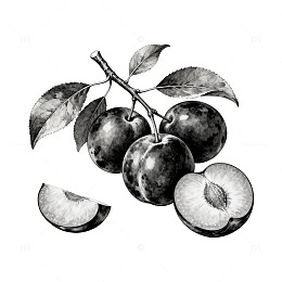 黑白素描苹果树枝叶图案设计素材
