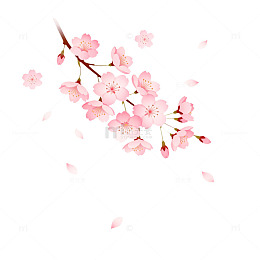樱花绽放浪漫春天矢量插画
