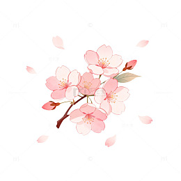 樱花插画清新风格平面设计素材