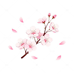 樱花插画