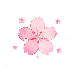 樱花插画粉色花卉装饰图案
