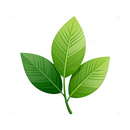 绿色植物叶片矢量插画