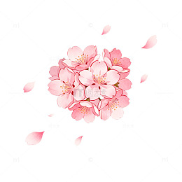 樱花盛开插画设计