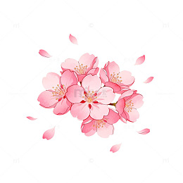 粉色樱花矢量图素材