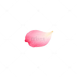 粉色花瓣简约背景