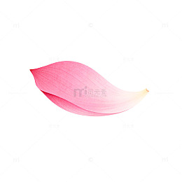 粉色花瓣简约设计元素