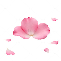 浪漫粉红玫瑰花瓣设计元素