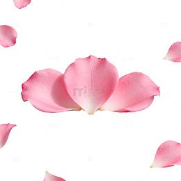 粉色玫瑰花瓣浪漫装饰图案