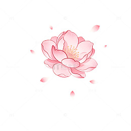 粉色花朵插画设计素材