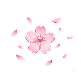 粉色樱花飘落图案设计素材