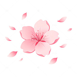 粉色樱花矢量图案插画