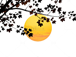 秋叶夕阳风景剪影艺术图