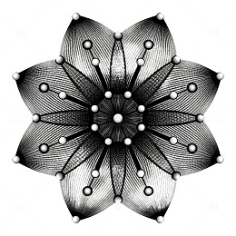 黑白对称几何花纹图案设计素材