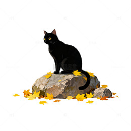 黑猫秋叶插画