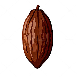卡通风格可可豆插画素材