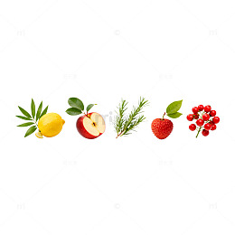 自然风新鲜水果组合插画素材