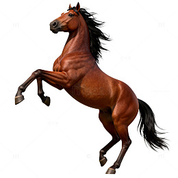 骏马跃动三维插画
