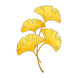 银杏叶卡通插画设计素材