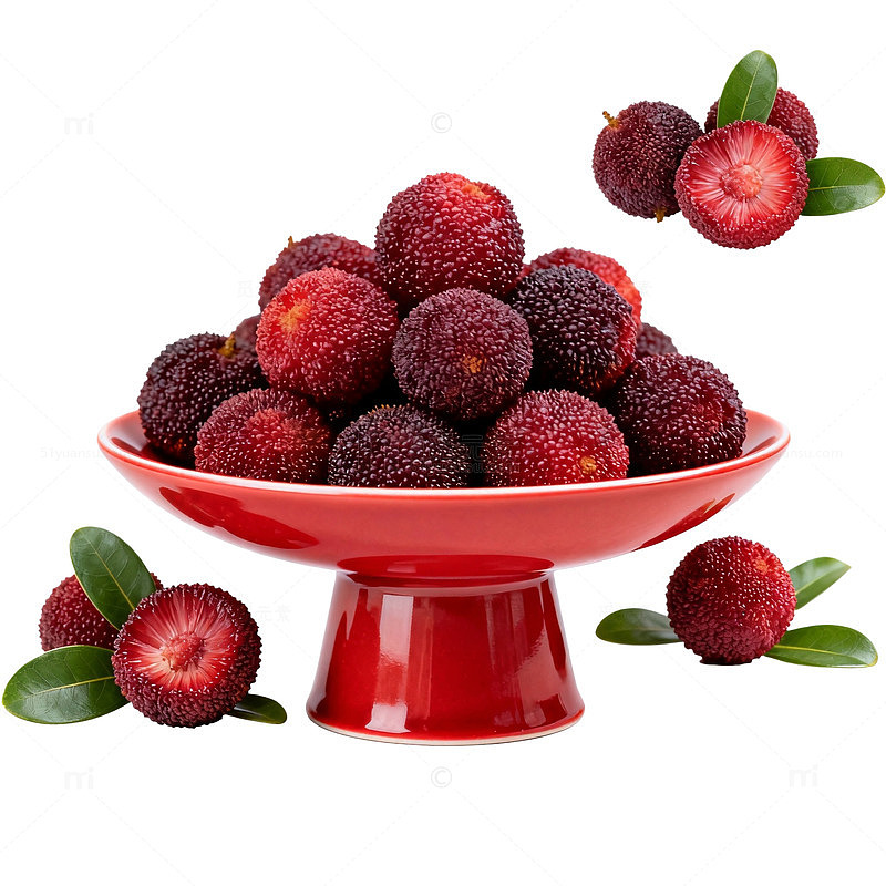 鲜艳杨梅果实美食插画