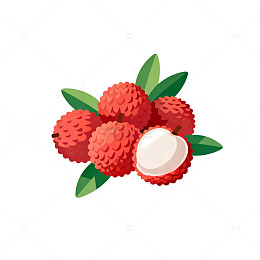 插画风格荔枝水果设计素材