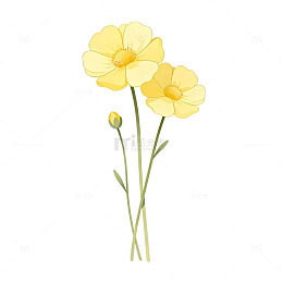 手绘黄色花朵插画