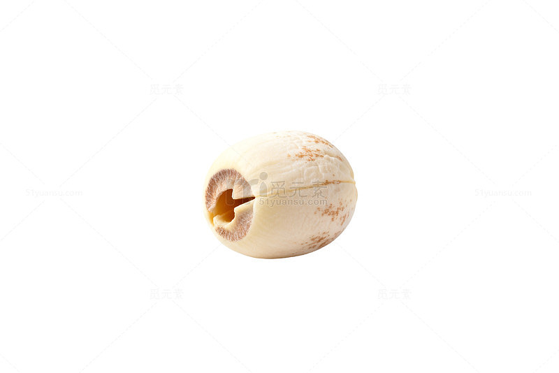 简约风格坚果特写素材