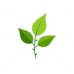 扁平化绿植图标设计元素