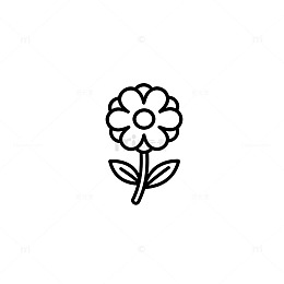 简约线条花卉图案插画