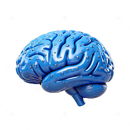 蓝色大脑3D模型展示