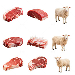 肉类展示图素材