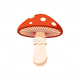 卡通风格红色蘑菇图案设计素材