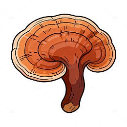 卡通风格野生蘑菇插画设计元素