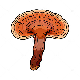 卡通风格野生菌插画素材