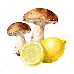 水彩蘑菇柠檬装饰画