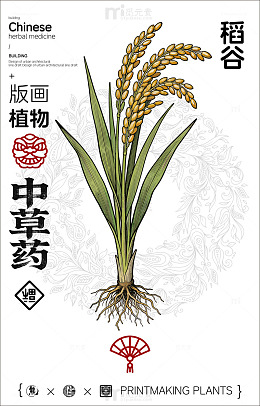 版画风格稻谷中草药设计素材