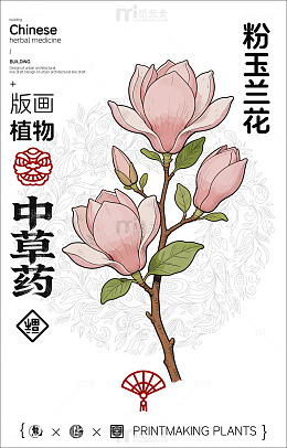 版画粉玉兰花植物插画