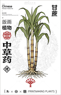 版画风格甘蔗中草药设计素材