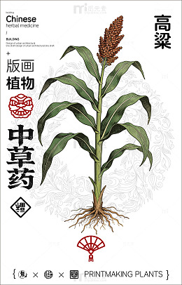 版画风格高粱中草药设计素材