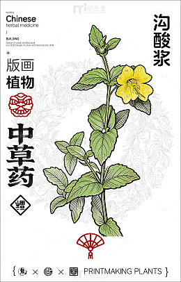 中草药沟酸浆版画插图